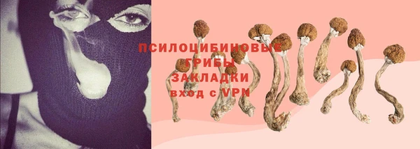 гашиш Белокуриха